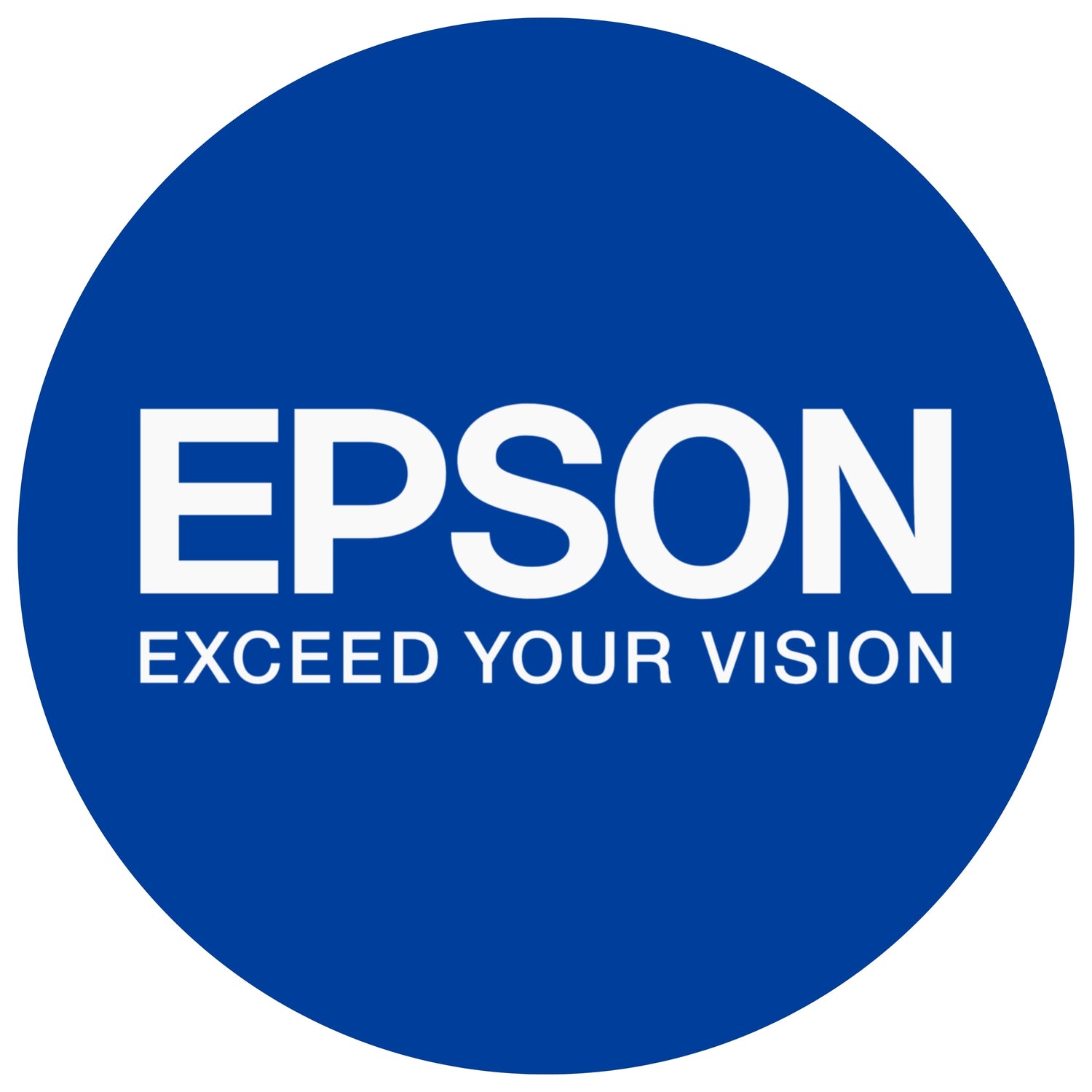 Epson Ink and Ribbon Cartridges