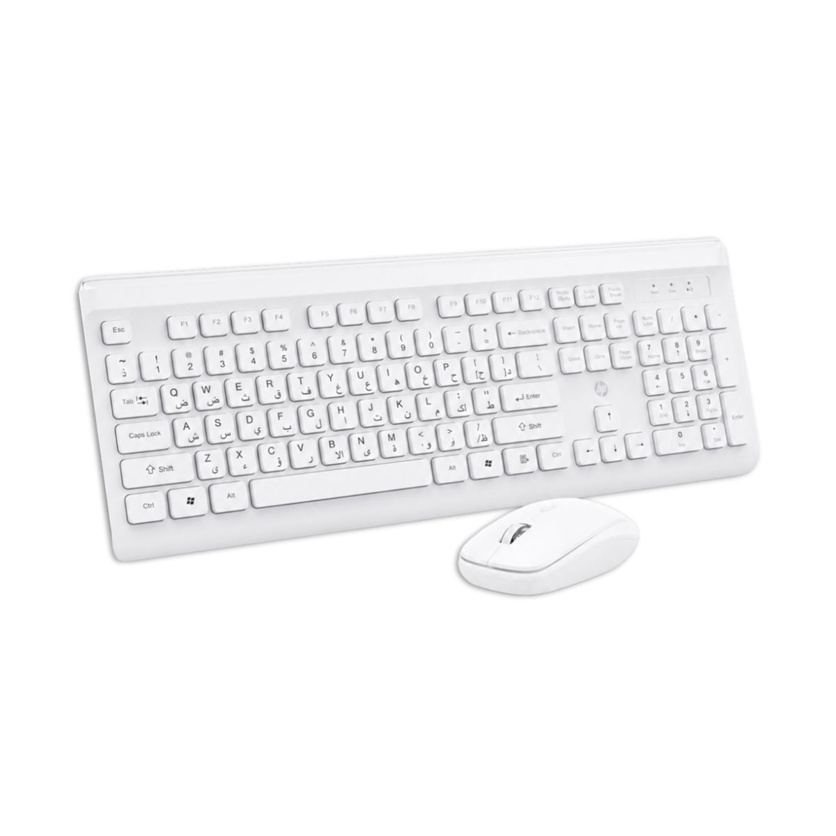 HP CS500 wireless keyboard & mouse kit